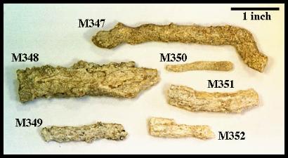 M347M352